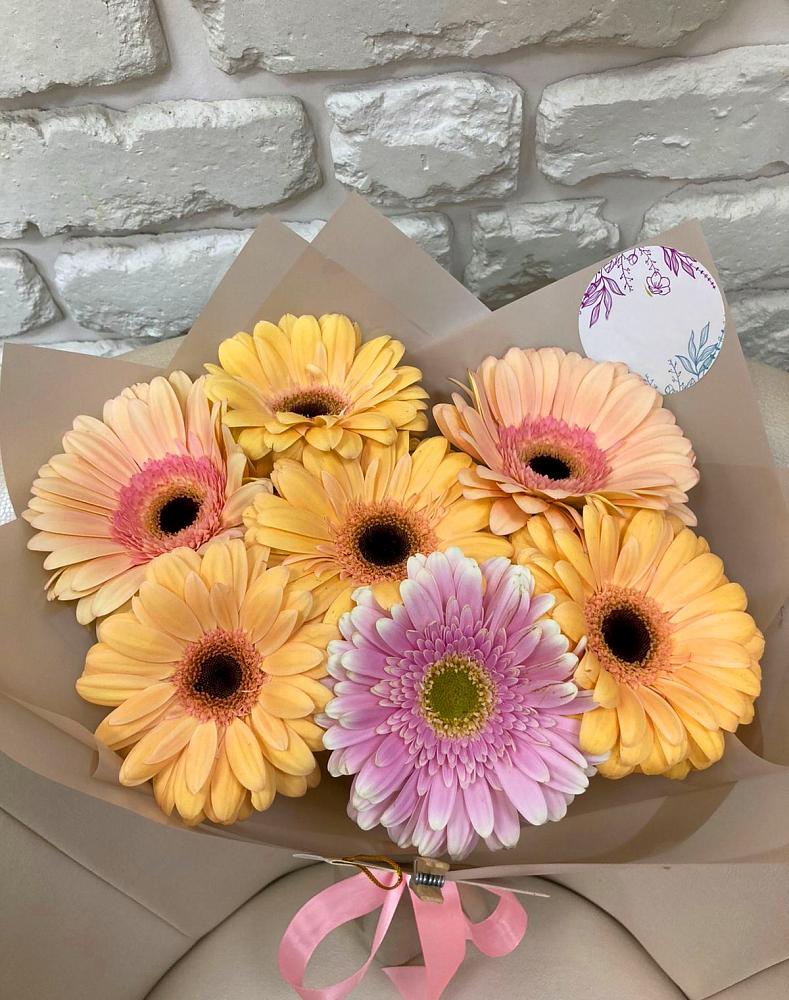 Букет цветов из: Герберы в Цоци-Юрте