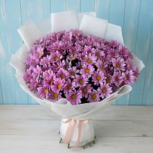 Букет цветов из:  Хризантемы в Цоци-Юрте