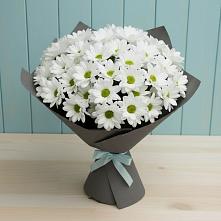 Букет цветов из:  Хризантемы в Цоци-Юрте