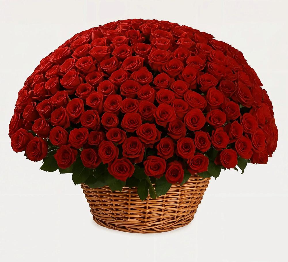 Премиум букет из: Розы в Цоци-Юрте