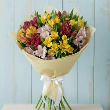 Букет цветов из:  Альстромерии в Цоци-Юрте