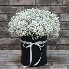 Цветочная композиция из Гипсофила в шляпной коробке #REPLACE_PRED# Цоци-Юрте