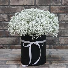 Цветочная композиция из Гипсофила в шляпной коробке в Цоци-Юрте