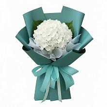 Букет цветов из:  Гортензия в Цоци-Юрте